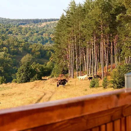 Kuca Za Odmor Bruna Casa vacanze *